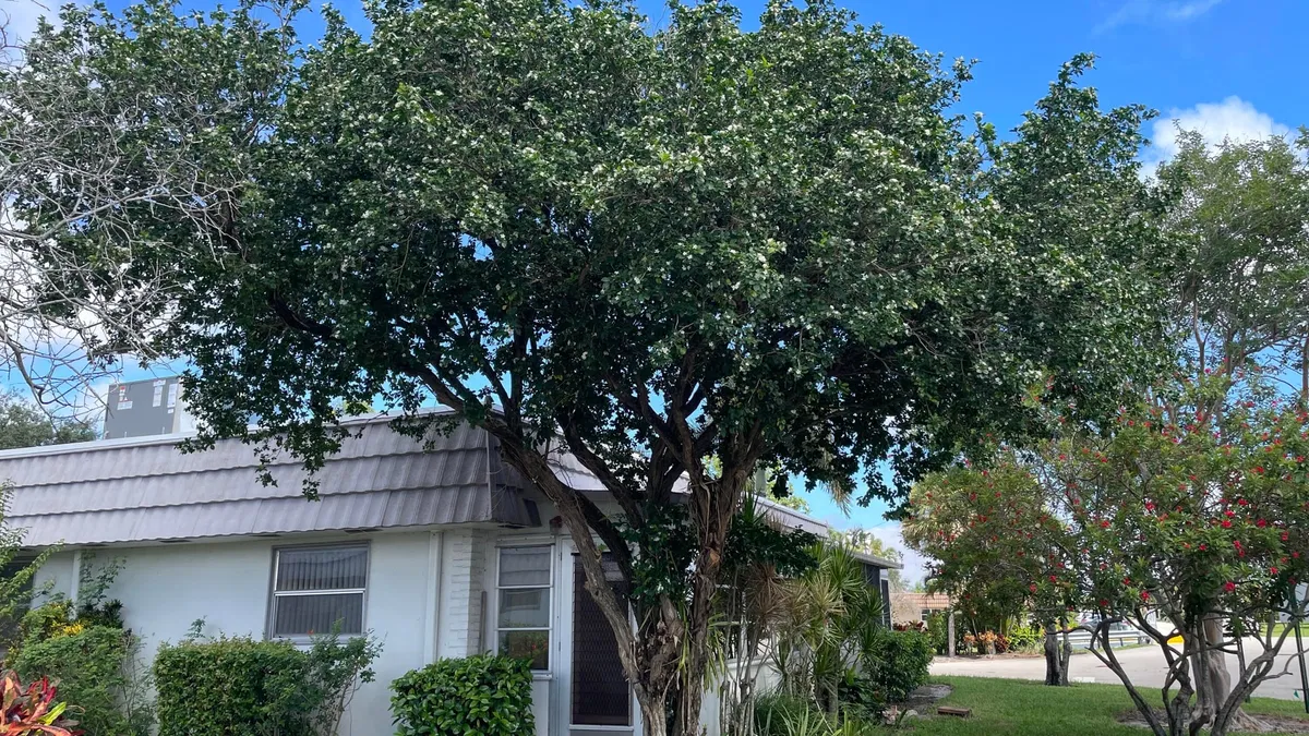 Unit 166 photo 19