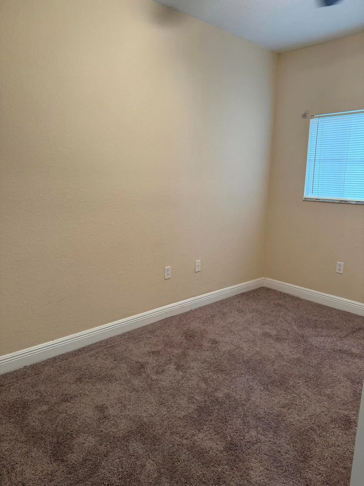 Unit 633 photo 4