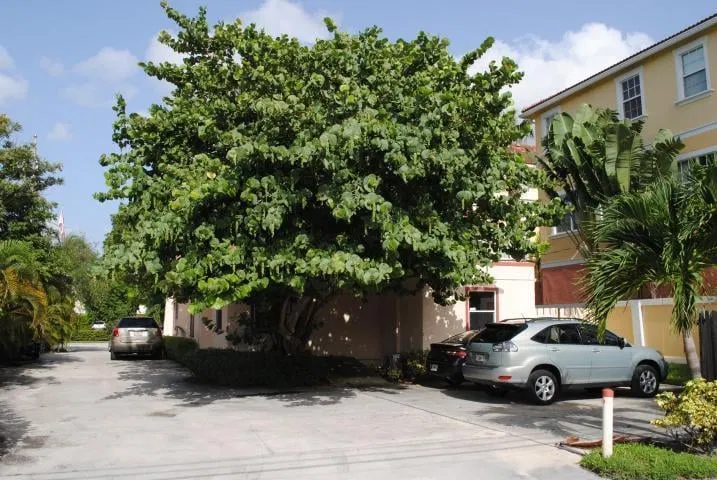 Downtown Delray Beach Residence photo 10