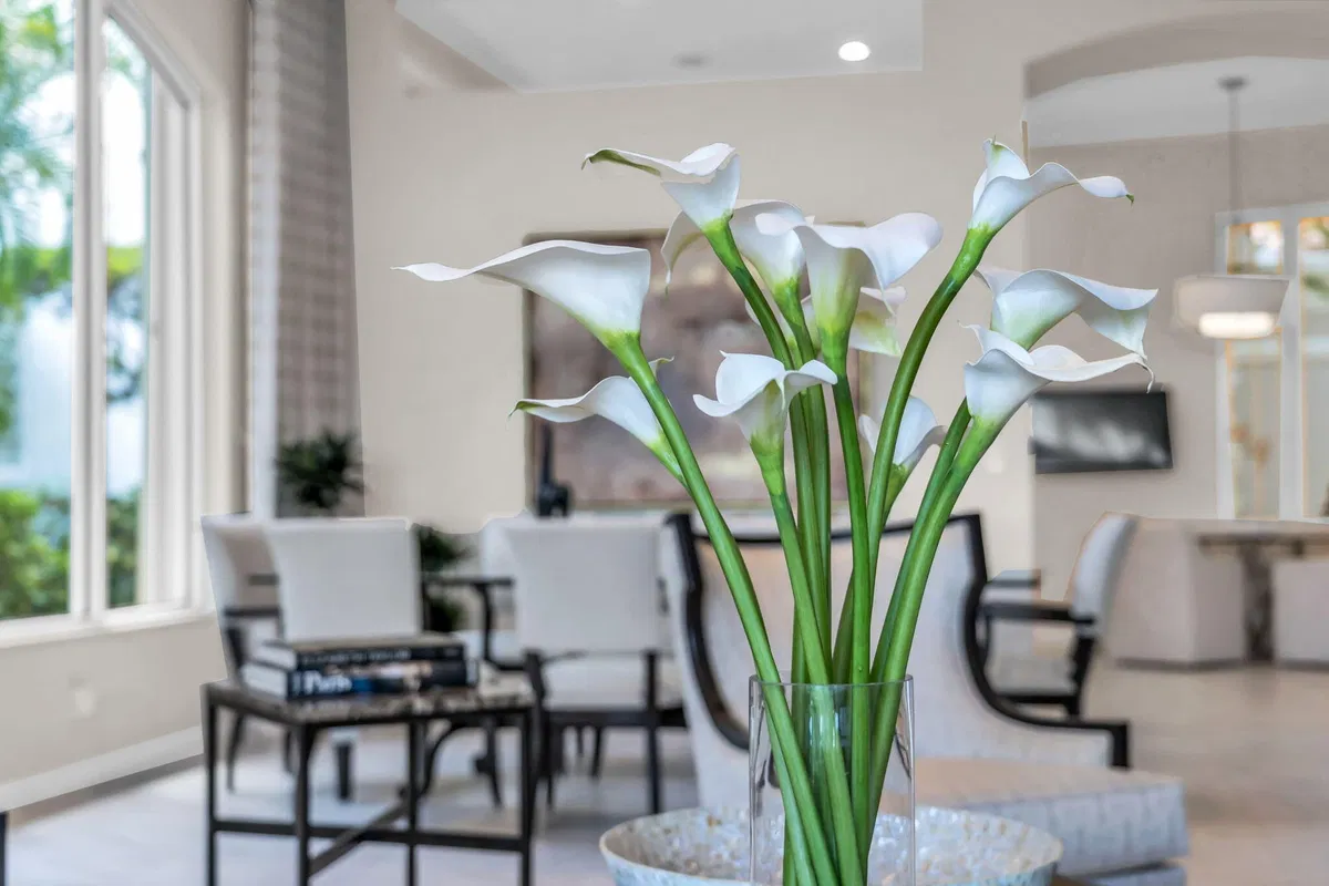 Mirasol Country Club Residence photo 103