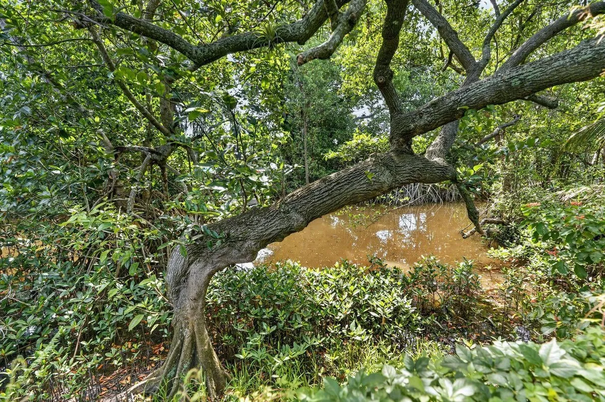 Jupiter River Estates Residence photo 43
