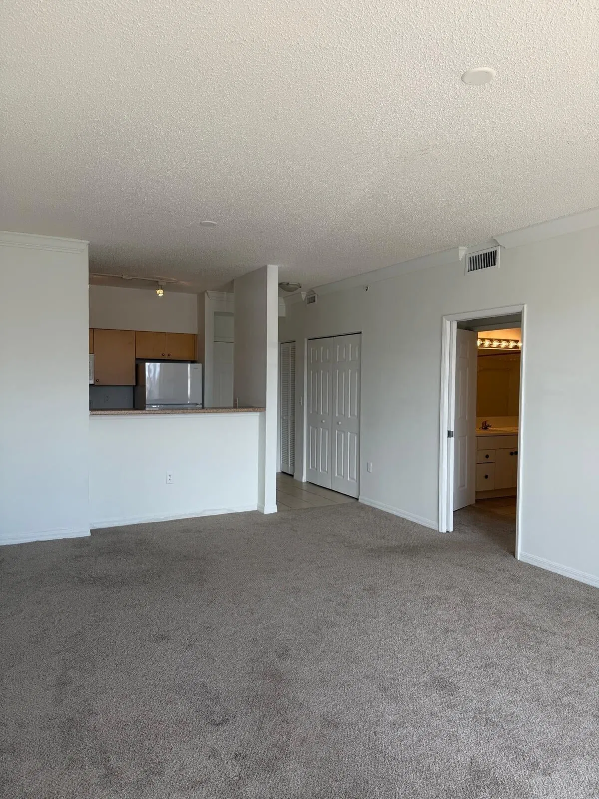 The Montecito Unit 407 photo 7