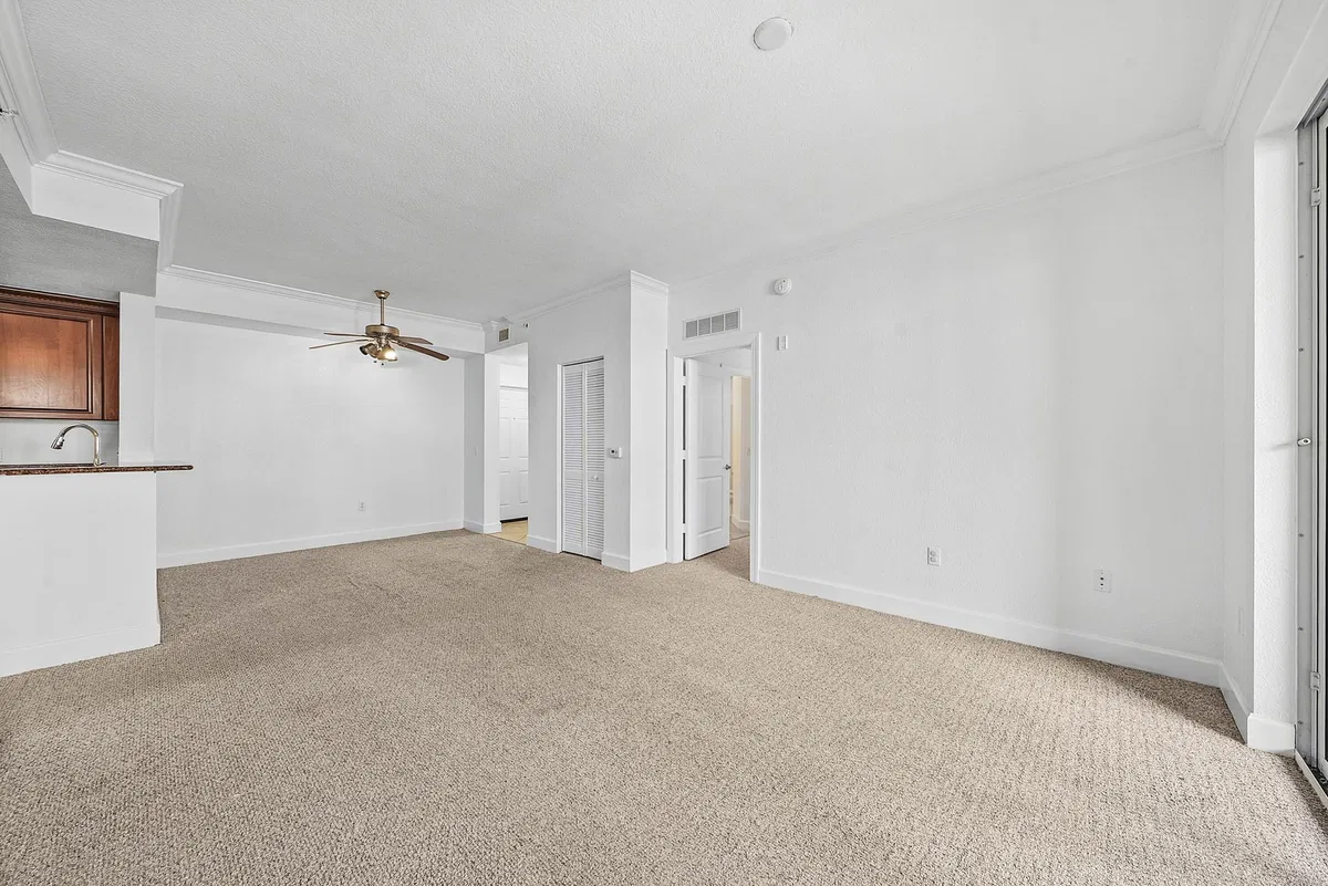 Renaissance Commons I Unit 2421 photo 10