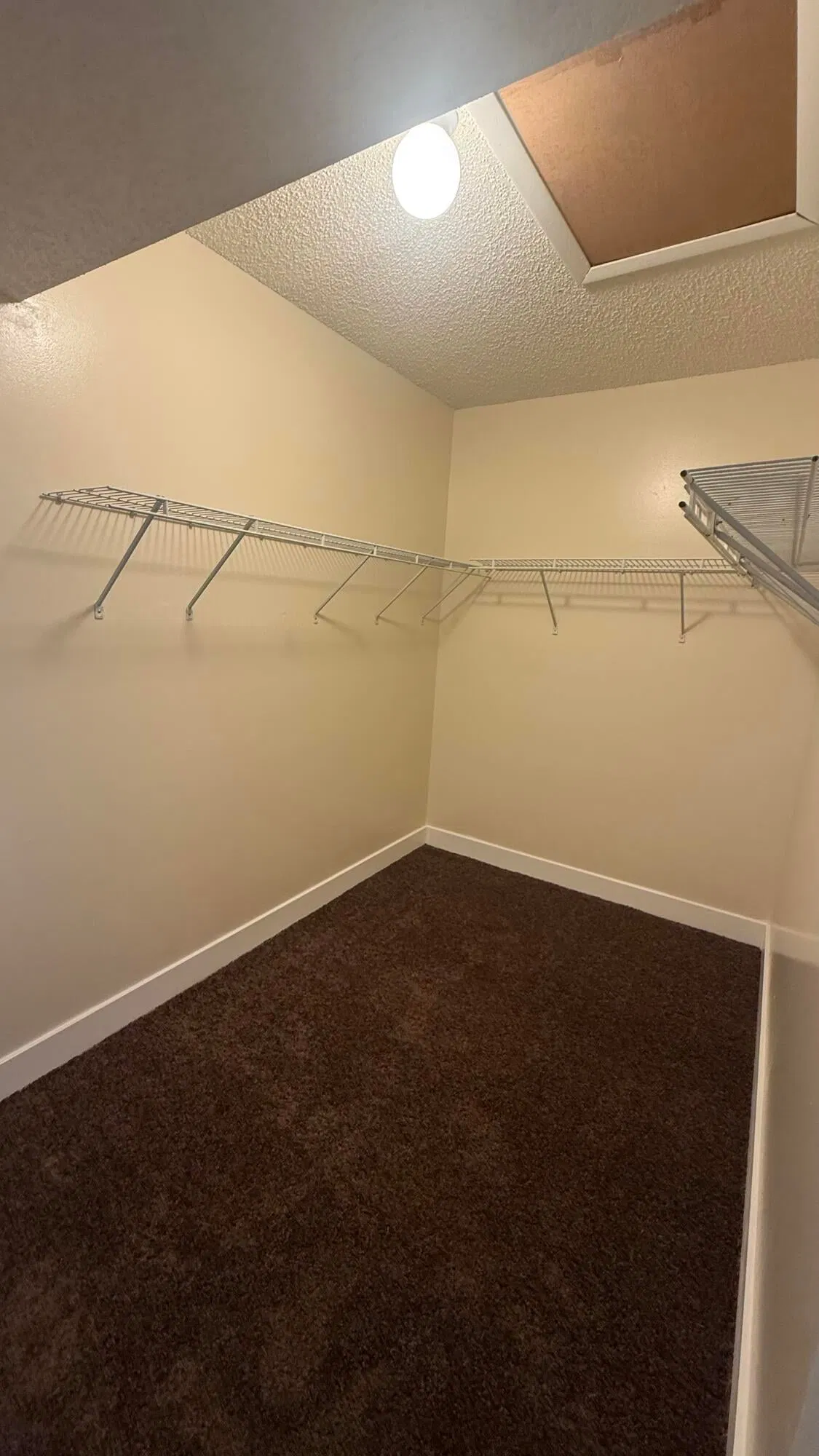 Unit 206 photo 22