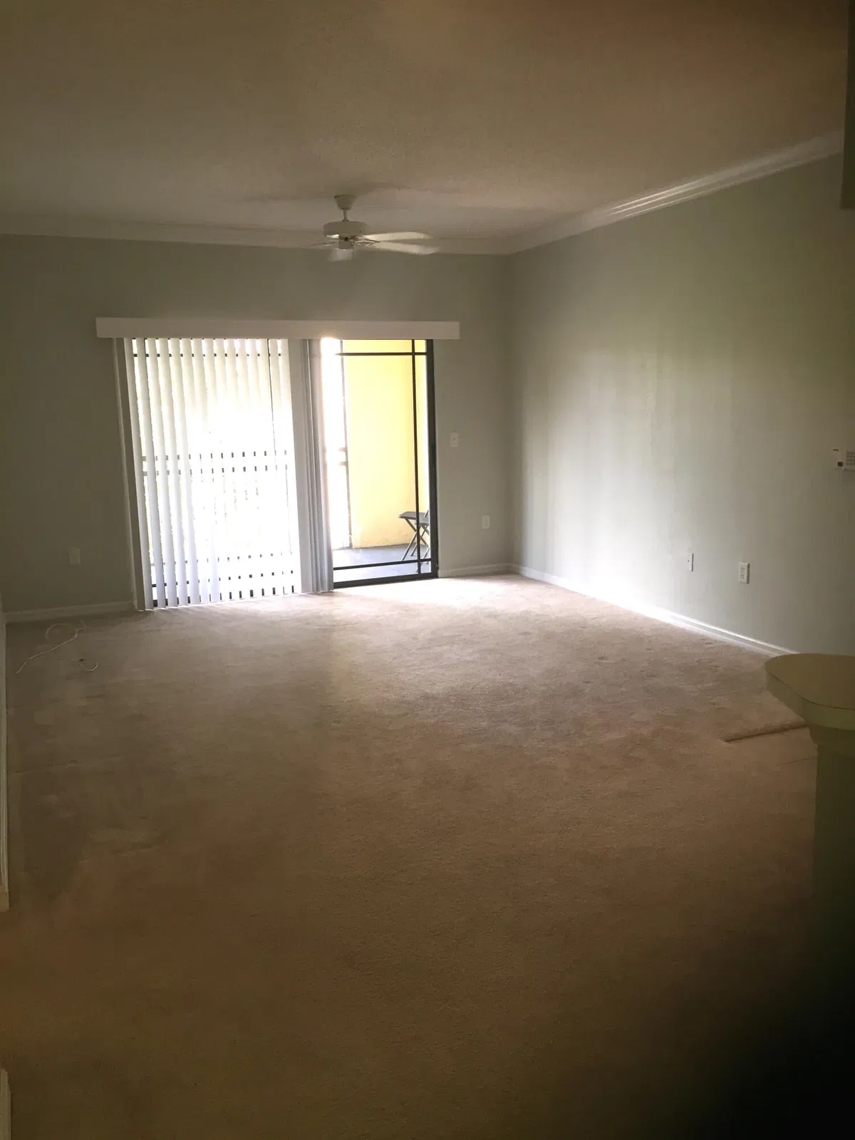  Unit 202 photo 7