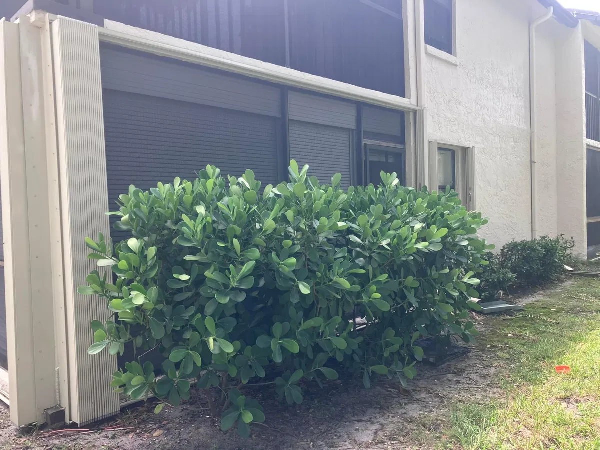 Unit 1616 photo 55