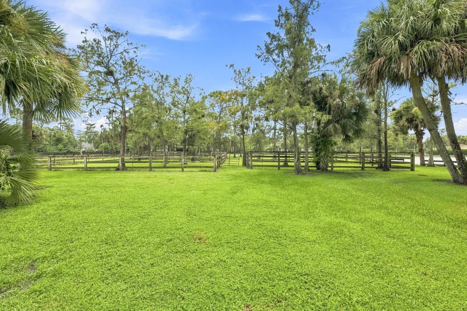 Paddock Park 2 Residence photo 28
