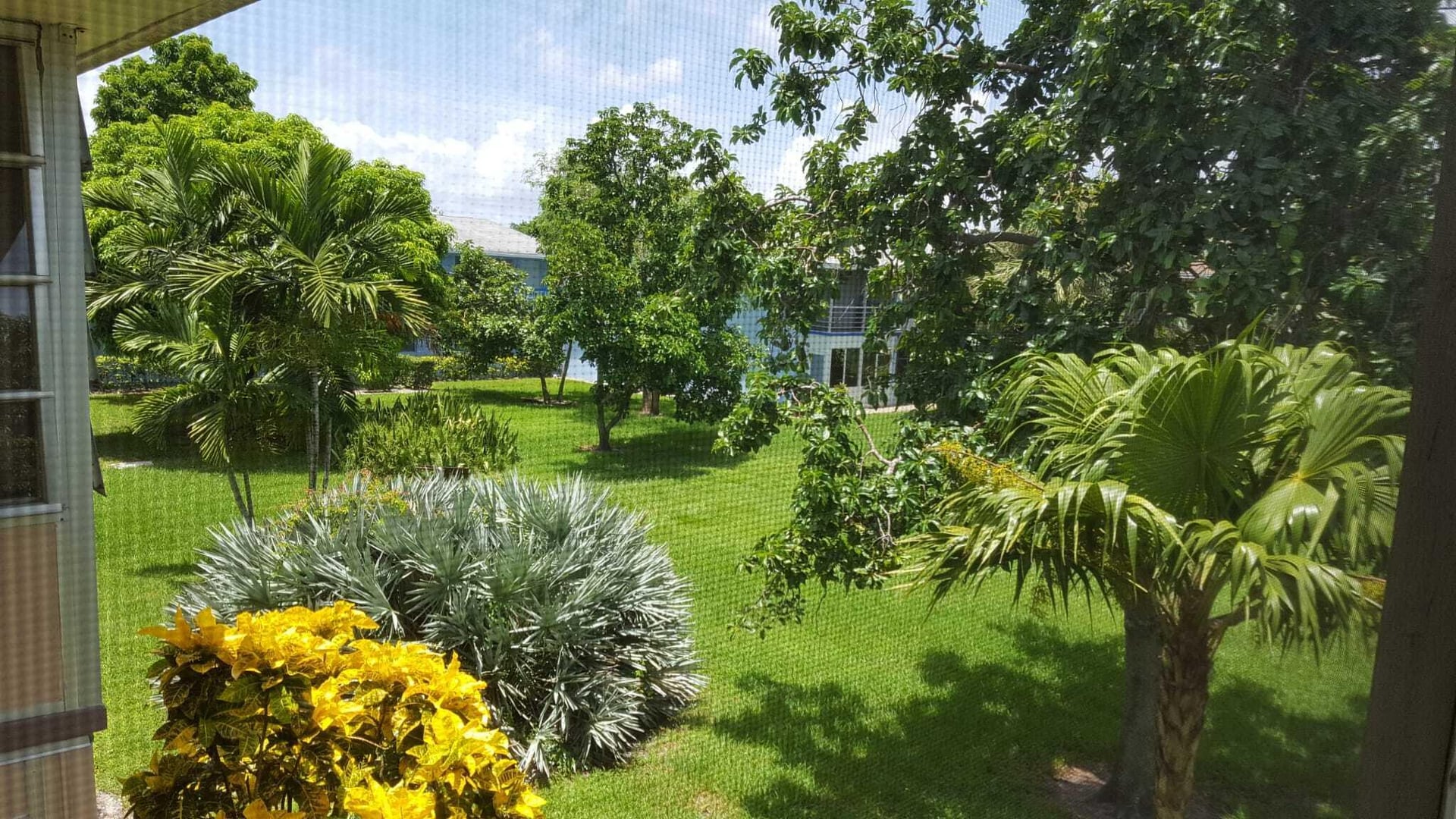 Residence photo 4