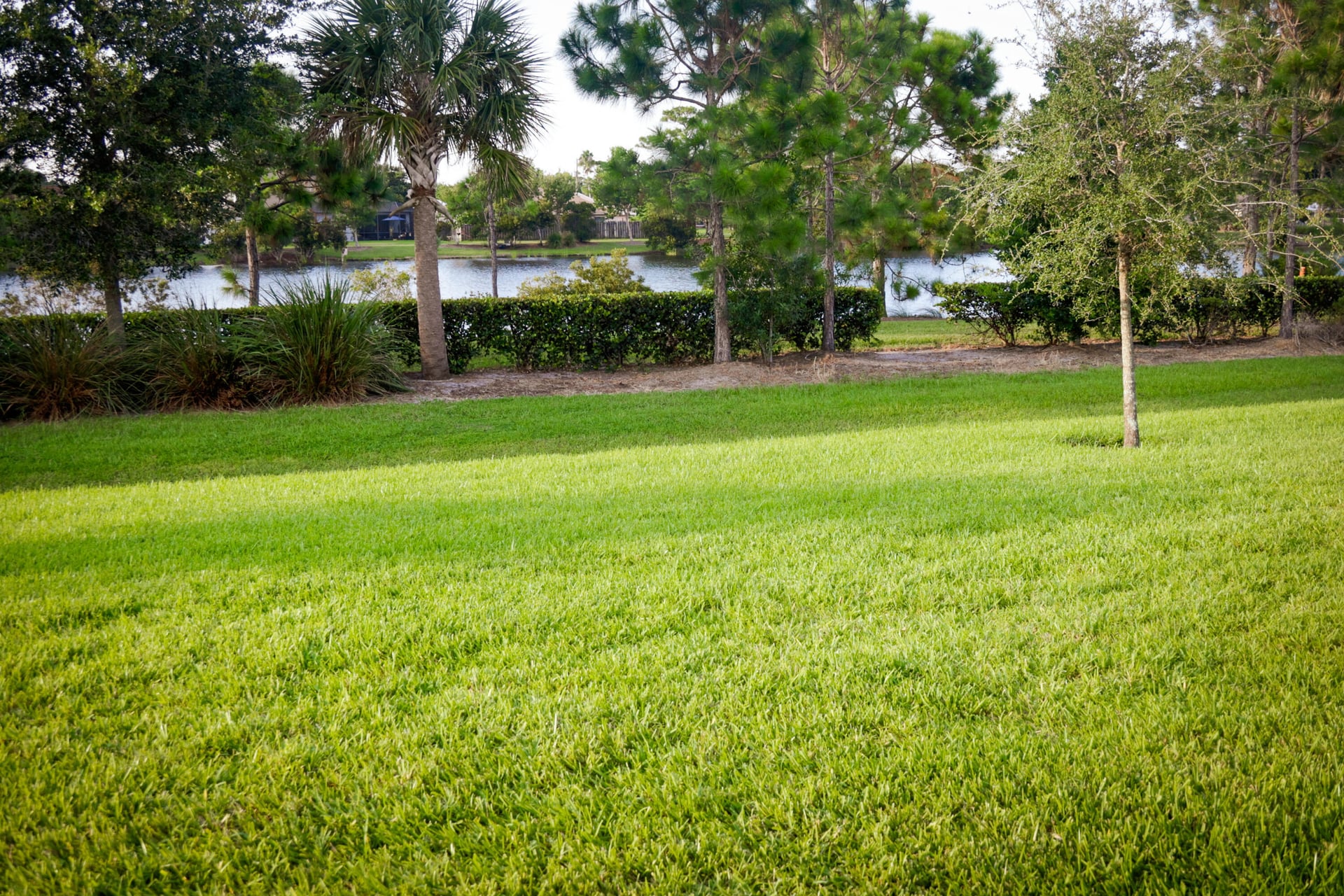  Residence photo 16