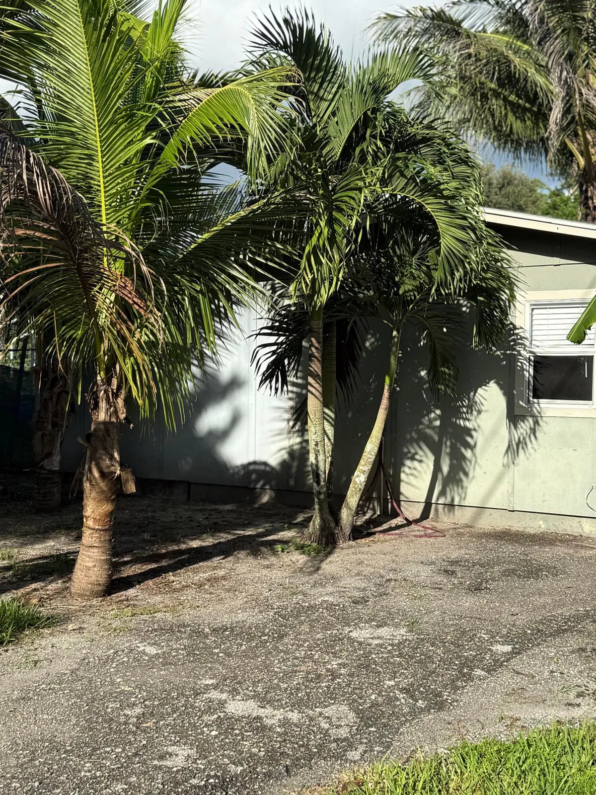 Residence