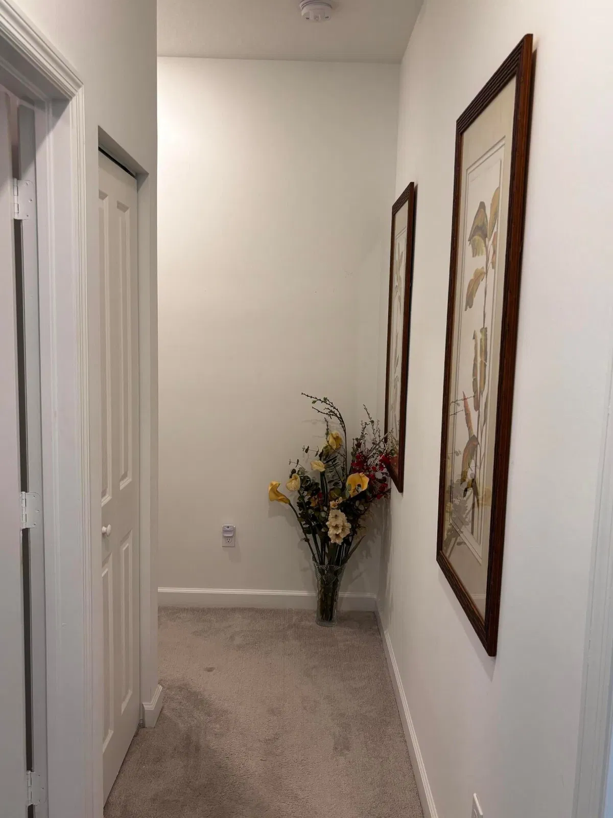 Residence photo 22