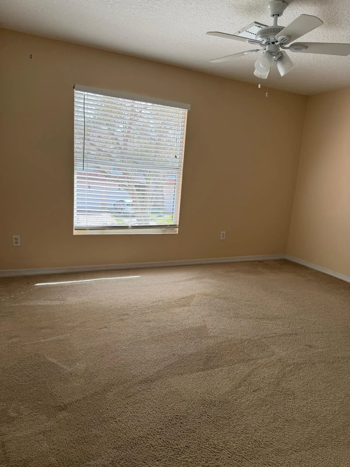 Residence photo 16