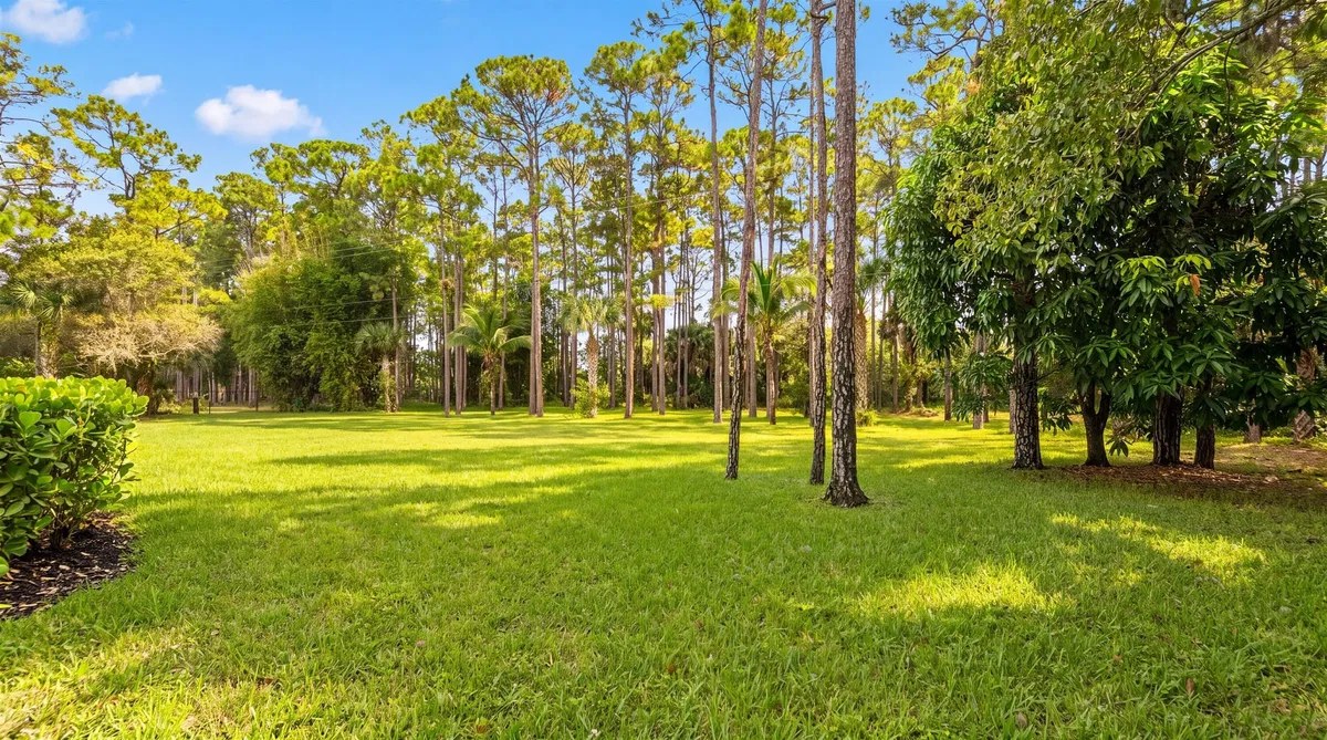 Paddock Park 1 Residence photo 82