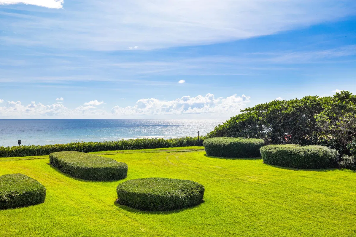 Sloan's Curve Palm Beach Residence photo 22