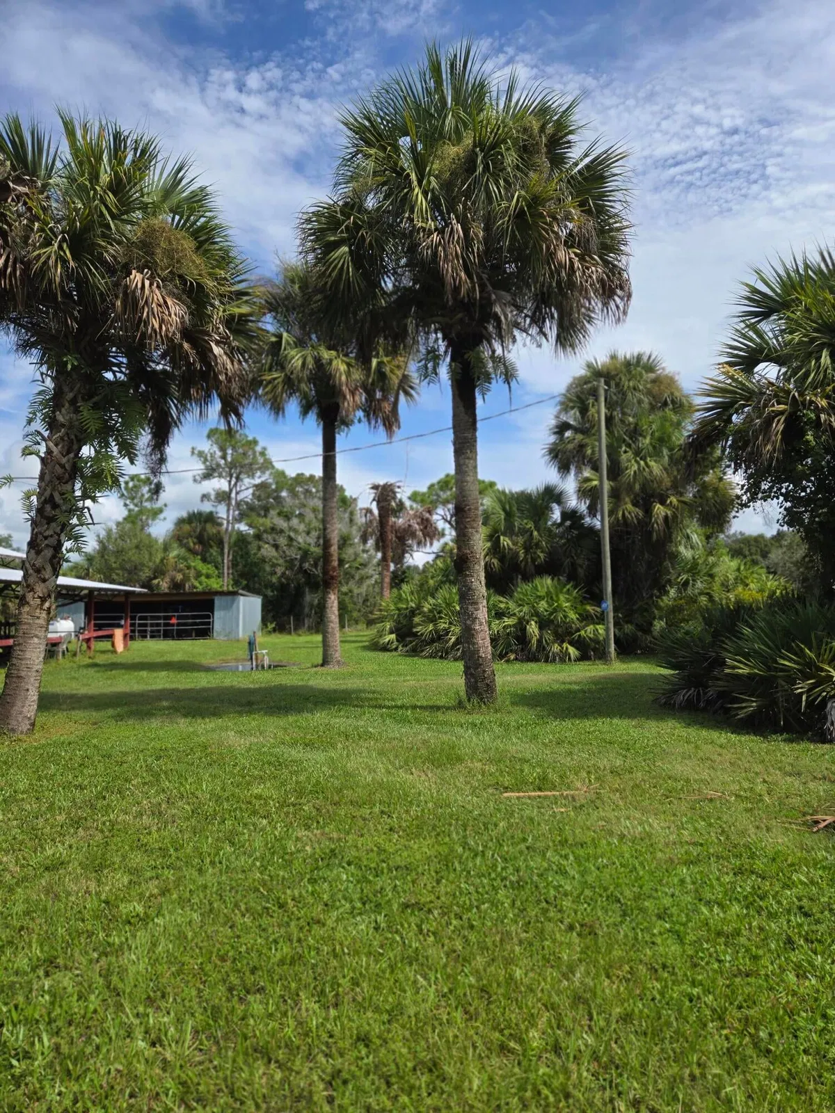  Residence photo 7