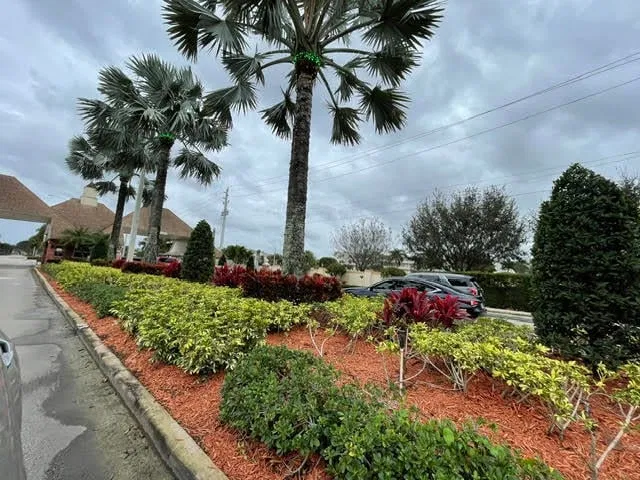  Residence photo 7