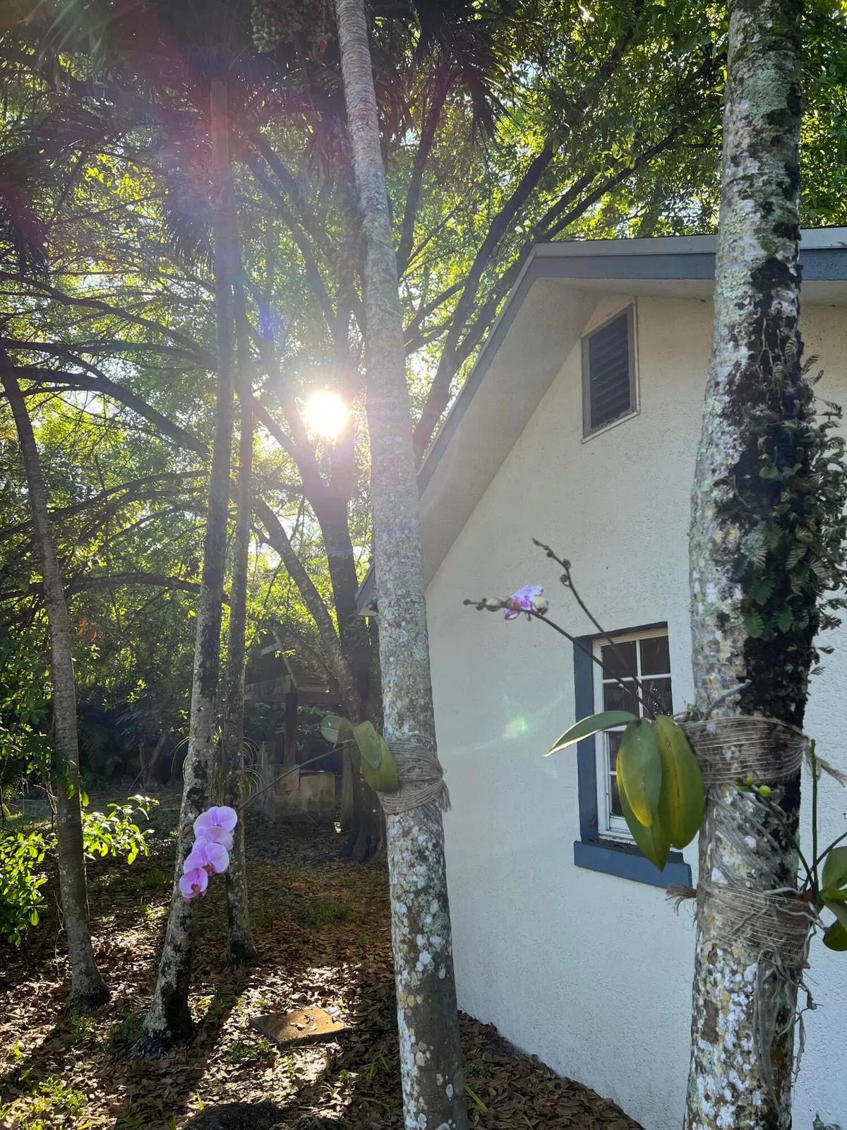 Residence photo 16