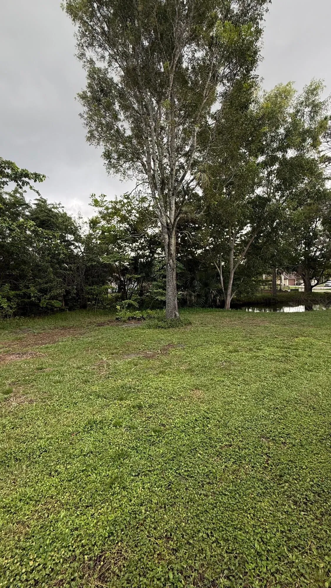 Residence photo 7