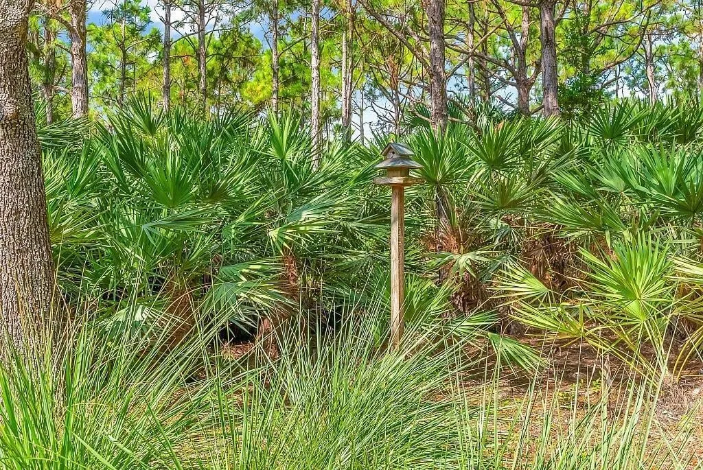 Evergrene Palm Beach Gardens Residence photo 34
