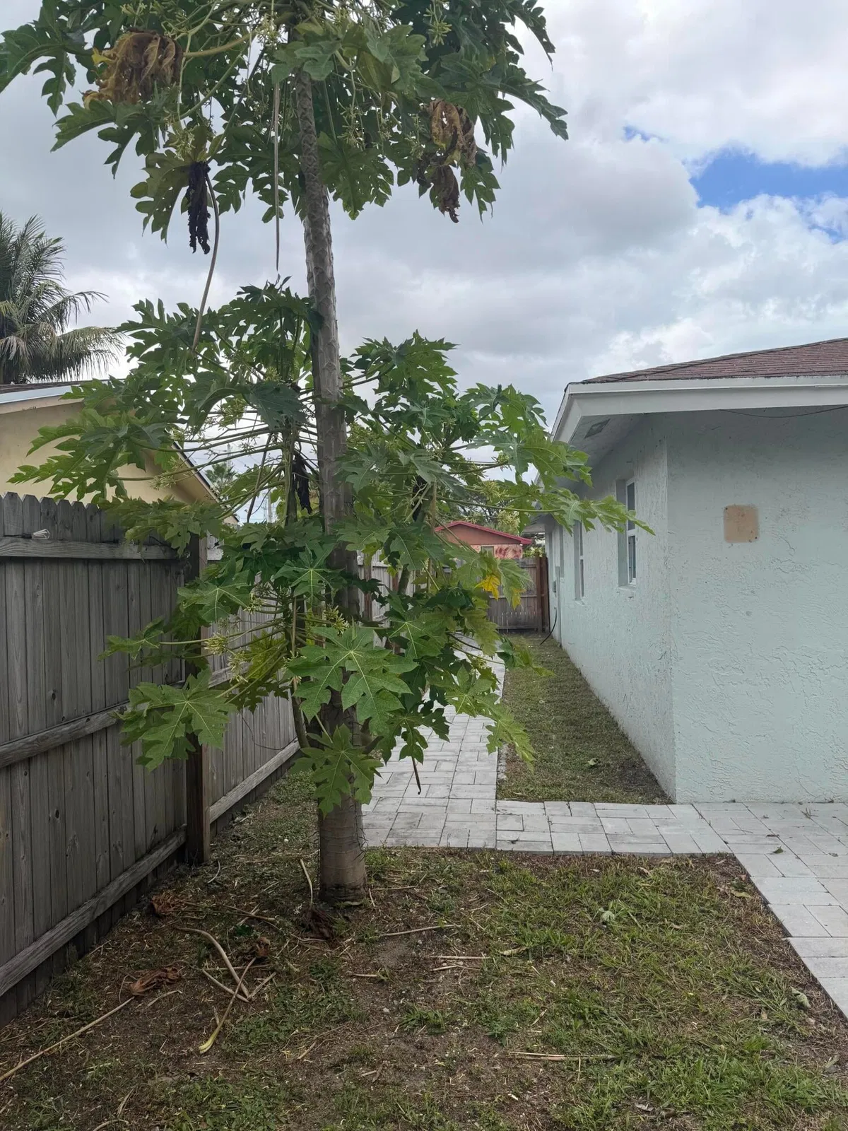 Residence photo 10