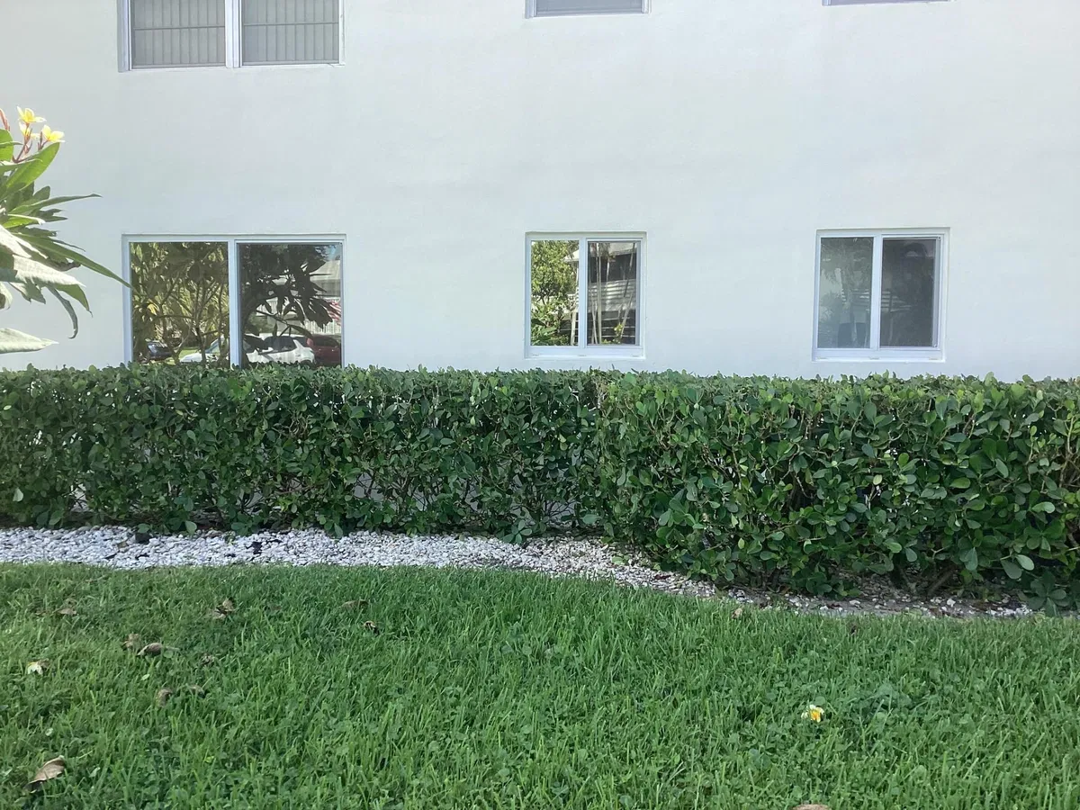 Residence photo 7