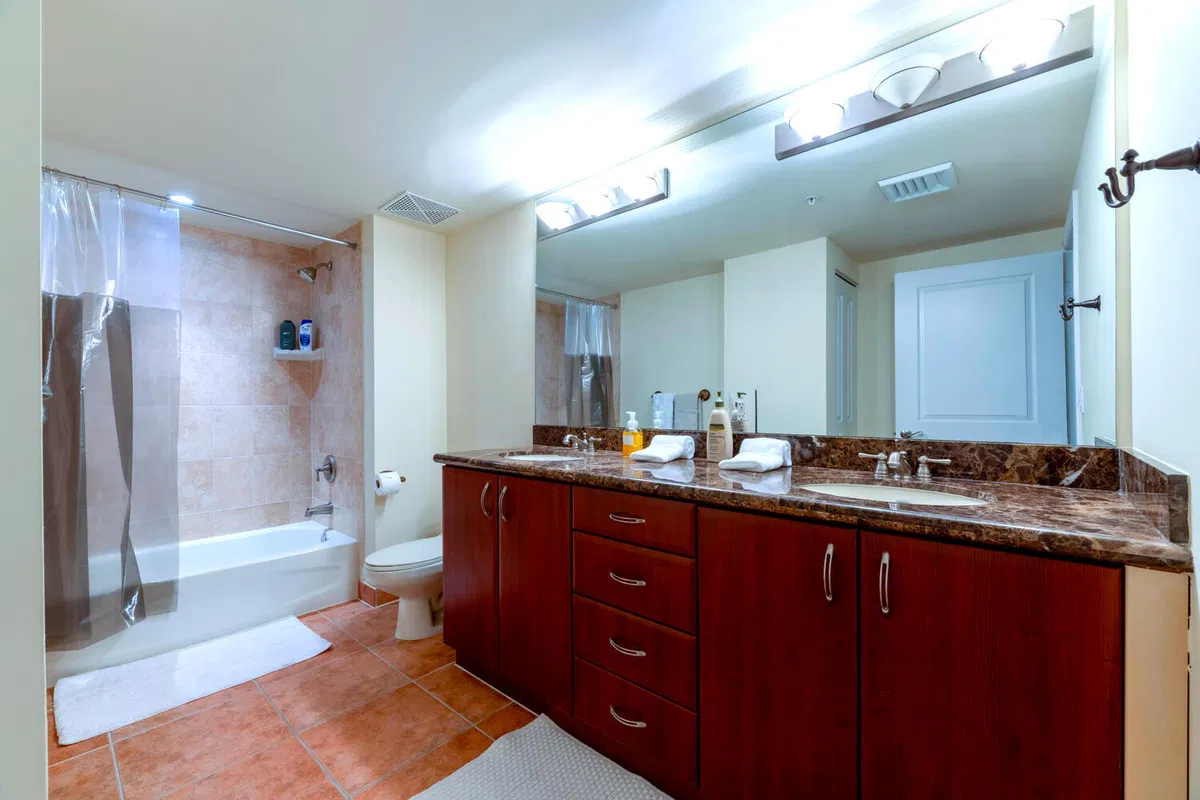 The Metropolitan Unit 204 photo 13