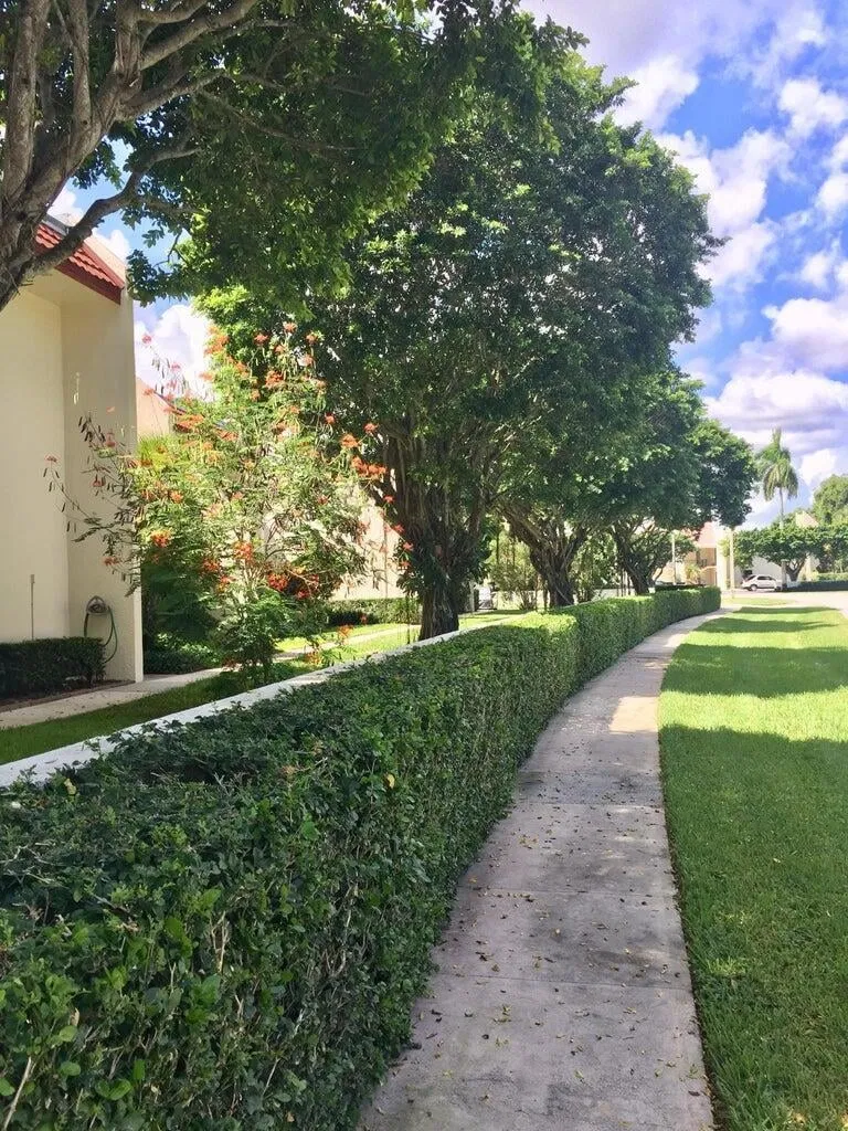 Unit 101 photo 25