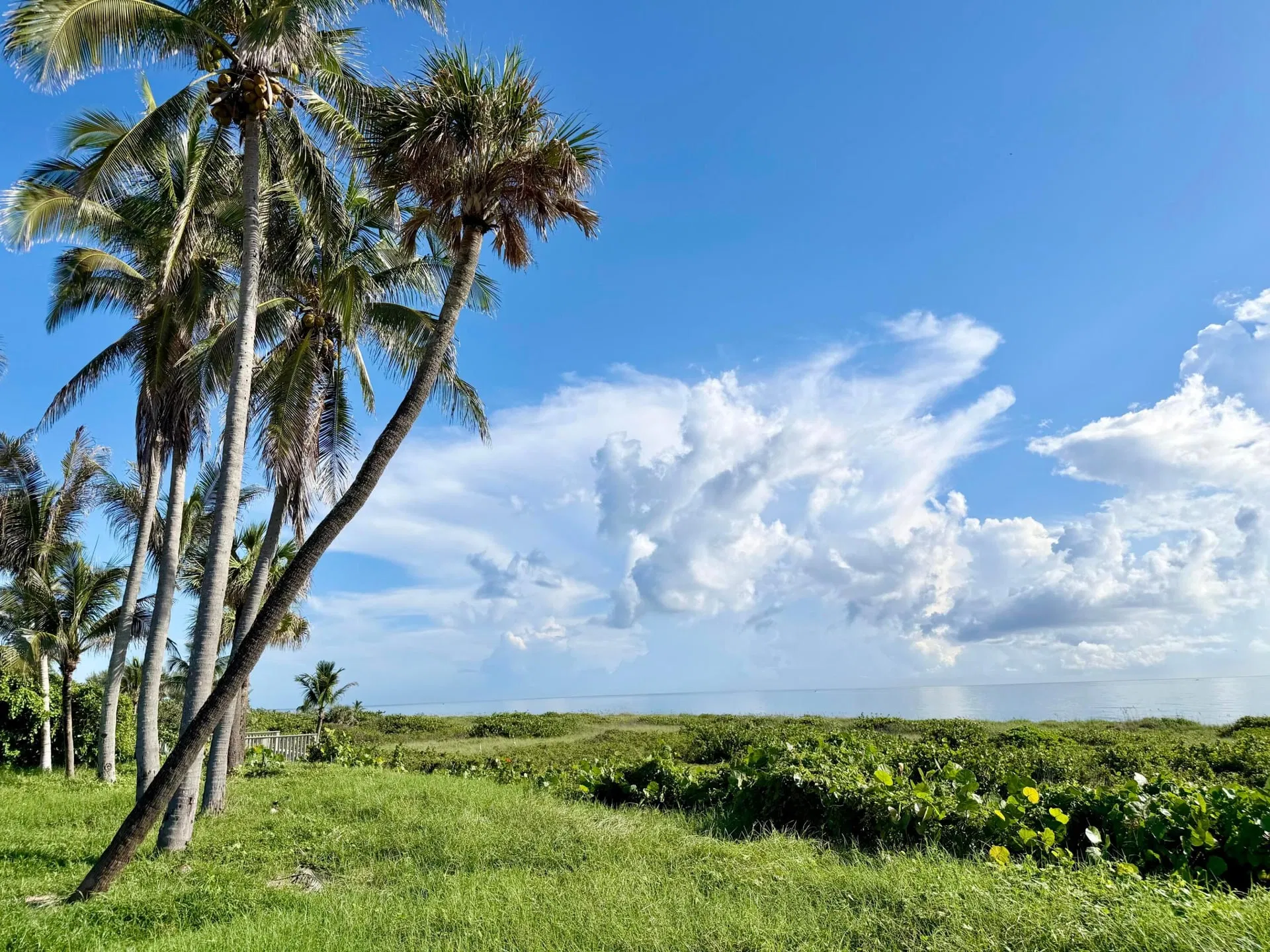 511 S Beach Road, Jupiter, FL 33455