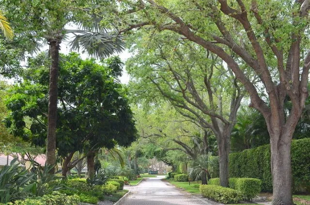 Colonnade Boca Raton Residence photo 51
