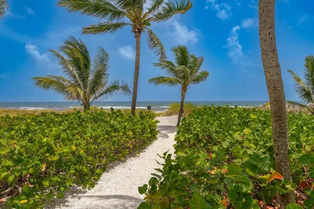Ocean Delray Condos Unit 9 photo 36