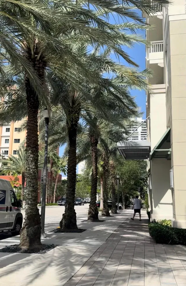 City Palms Unit 433 photo 47