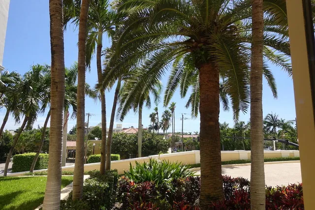 Palm Beach Biltmore Unit 107-K photo 6