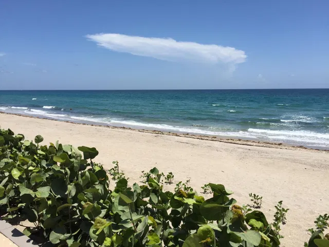 3230 S Ocean Boulevard #C505