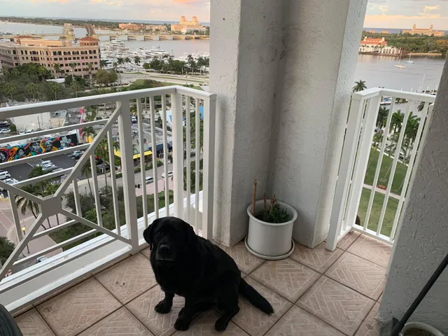 The Strand Unit 1204 photo 8