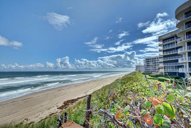 Emeraude Palm Beach Unit 304 photo 47