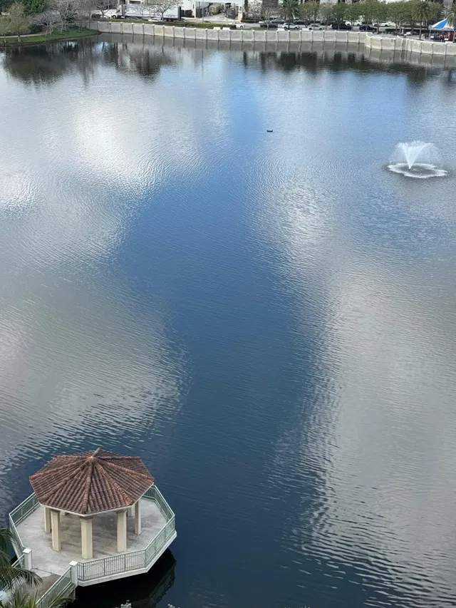 The Landmark Palm Beach Gardens Unit 1001b photo 9