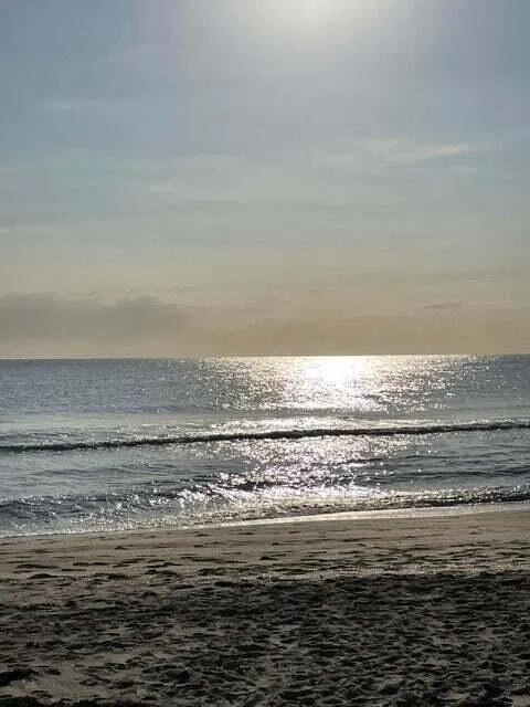 Unit F6 photo 13