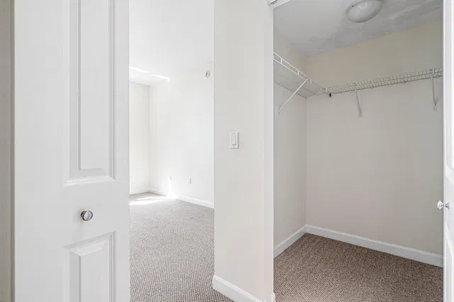 City Palms Unit 829 photo 11
