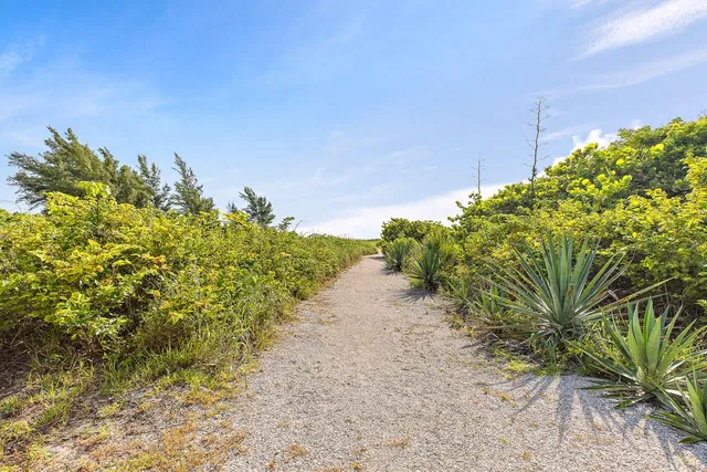 Dolce Vita Singer Island Unit 101 photo 28