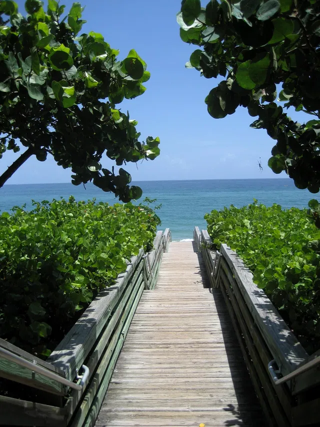 Jupiter Key Residence photo 23