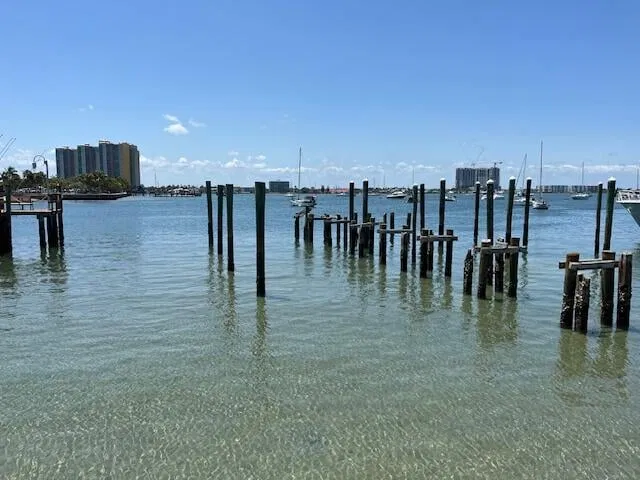 Singer Island Residence photo 4