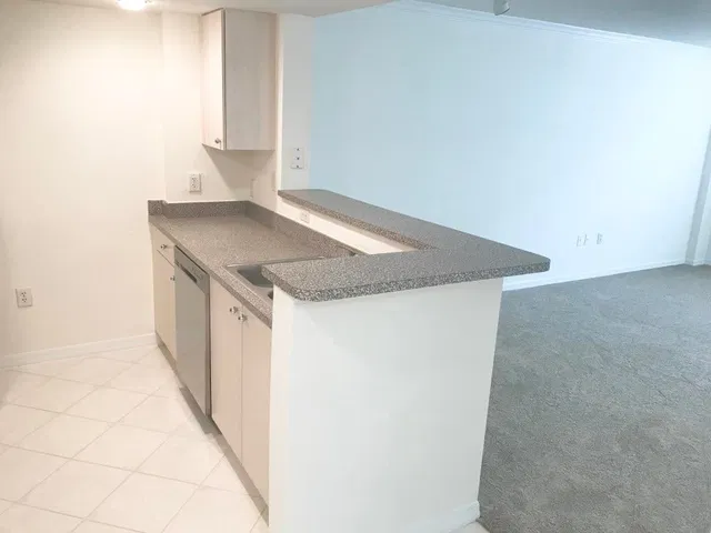 Flagler Pointe Unit 411 photo 9