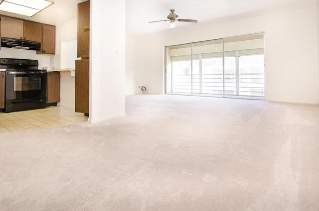  Unit 217 photo 6