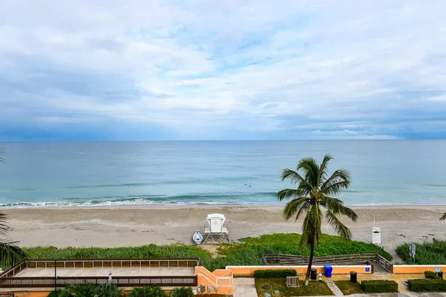 Dunster House Palm Beach Unit 5a photo 11