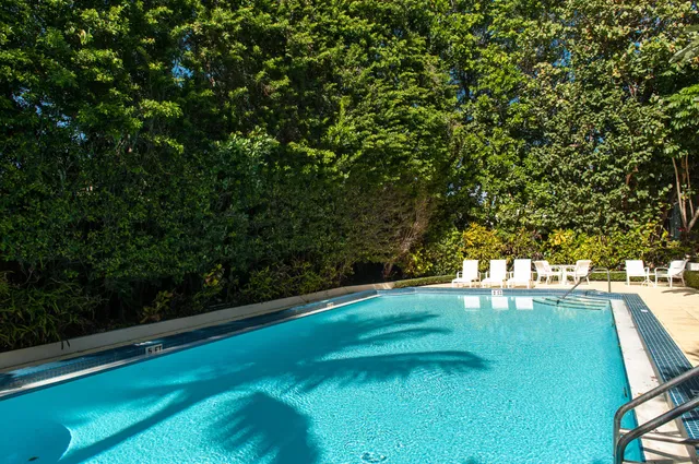Dunster House Palm Beach Unit 5a photo 13