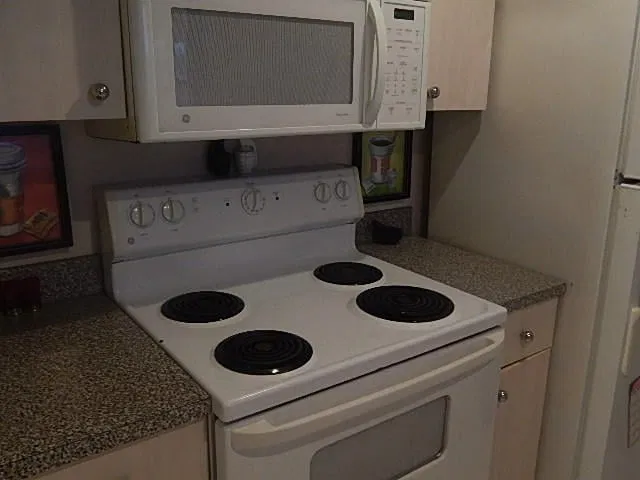Downtown West Palm Beach Unit 411 photo 9