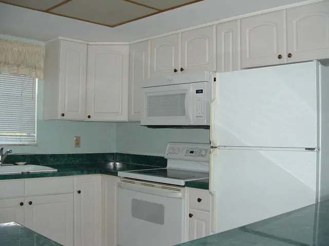 Unit 101 photo 4