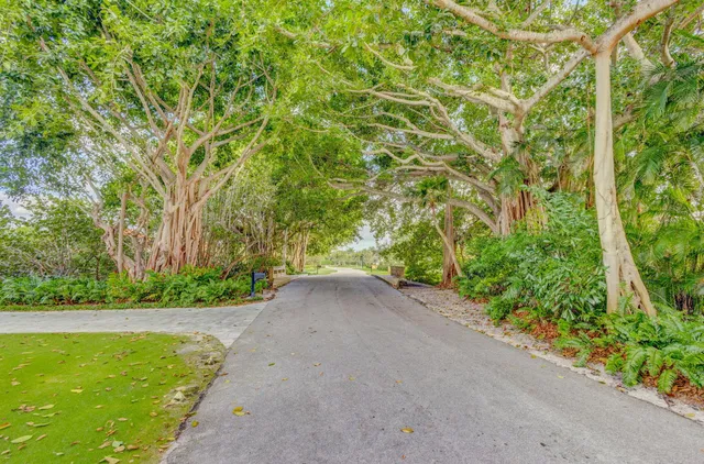 Singer Island Residence photo 10