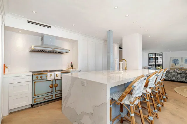 The Meridian Unit 305n photo 5