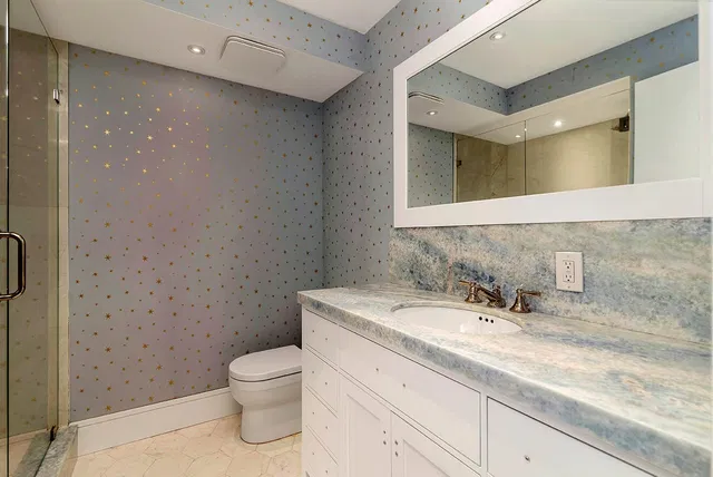 The Meridian Unit 305n photo 21